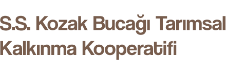Kozakkoop Çam Fıstıkları Logo